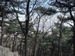 -鹫峰国家森林公园