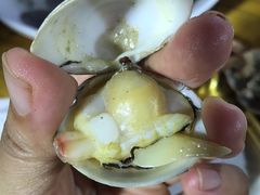 白蛤-老青岛海鲜烧烤大排档