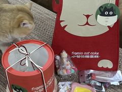 -小苍兰风铃草蛋糕甜品(沈阳店)