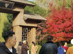 -习家池