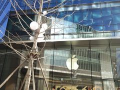 -Apple零售店(华贸购物中心店)