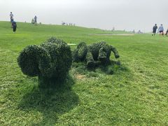 -秦皇岛阿尔卡迪亚滨海度假酒店