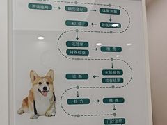-瑞派康怡24h宠物医院·犬猫医疗中心·微创绝育(瑞景分院)