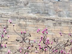 -东华门大街小区