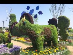 -荷兰花海