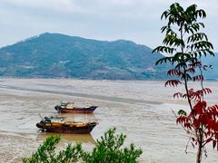 -北岐滩涂