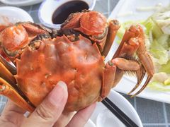 -古尚锦酒楼·水上餐厅