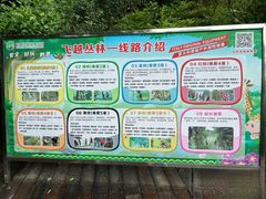 -天鹿湖森林公园