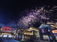 -东台西溪天仙缘景区
