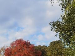 -莲花岛景区