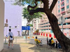 -九龙寨城公园