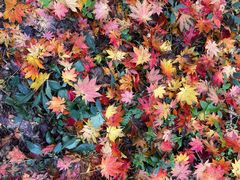 -本溪老边沟风景区