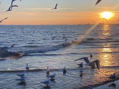 -老虎石海上公园