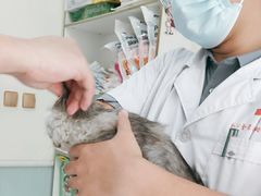 -全心全意连锁动物医院(加州店)