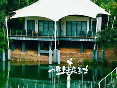 -帐篷客·溪龙茶谷度假酒店