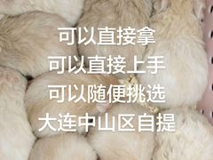 -叶氏兄弟果业(大连鲁迅店)