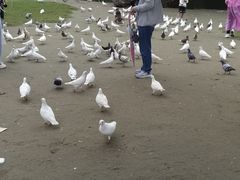 -南通洲际绿博园