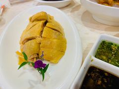 白切鸡-顺风海鲜港(金玉兰店)