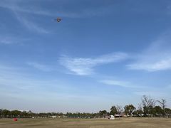 -春花秋色城市公园