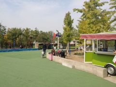 -永定河休闲森林公园