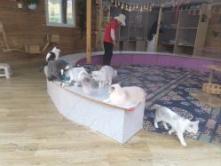 -萌宠亲子动物乐园(槐房万达店)