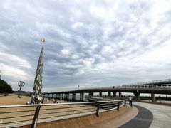 -演武大桥观景平台