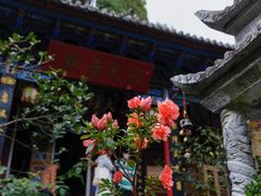-寂照庵
