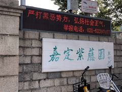 -嘉定紫藤园