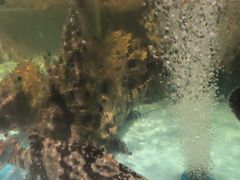 -阿伟海鲜楼·福建菜(延寿店)