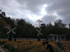-晓港公园