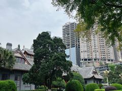 -四川大学(华西校区)