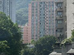 -南山植物园
