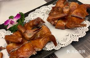 Dongguan Little帅Pigeon