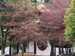 -苏淮景·苏闽融创菜·海鲜(原空港井河轩店)