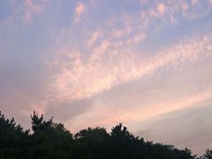 -日照灯塔风景区