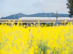 -光明小镇欢乐田园