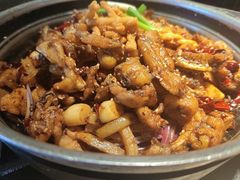 -蛙小侠(卓悦里店)