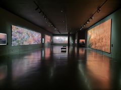 -罗红摄影艺术馆