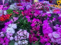 -花鸟鱼虫鲜花绿植市场(玉泉路店)