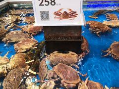 -盒马鲜生(红莲店)