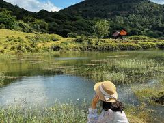 -大姆山草场