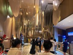 -武商摩尔影城(国广IMAX激光店)