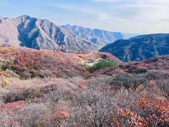 -周口店坡峰岭风景区