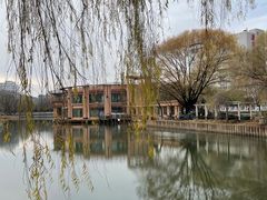 -万泉公园