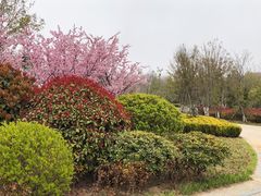 -如家精选酒店(青岛八大关太平角公园地铁站海水浴场店)