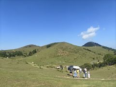 -大姆山草场