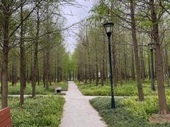 -上海山野camping·户外天幕烧烤·团建拓展营地