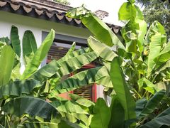 景观位-渭塘酒家(生态园店)