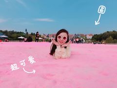 -大塘金香草谷