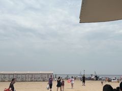-碧海金沙
